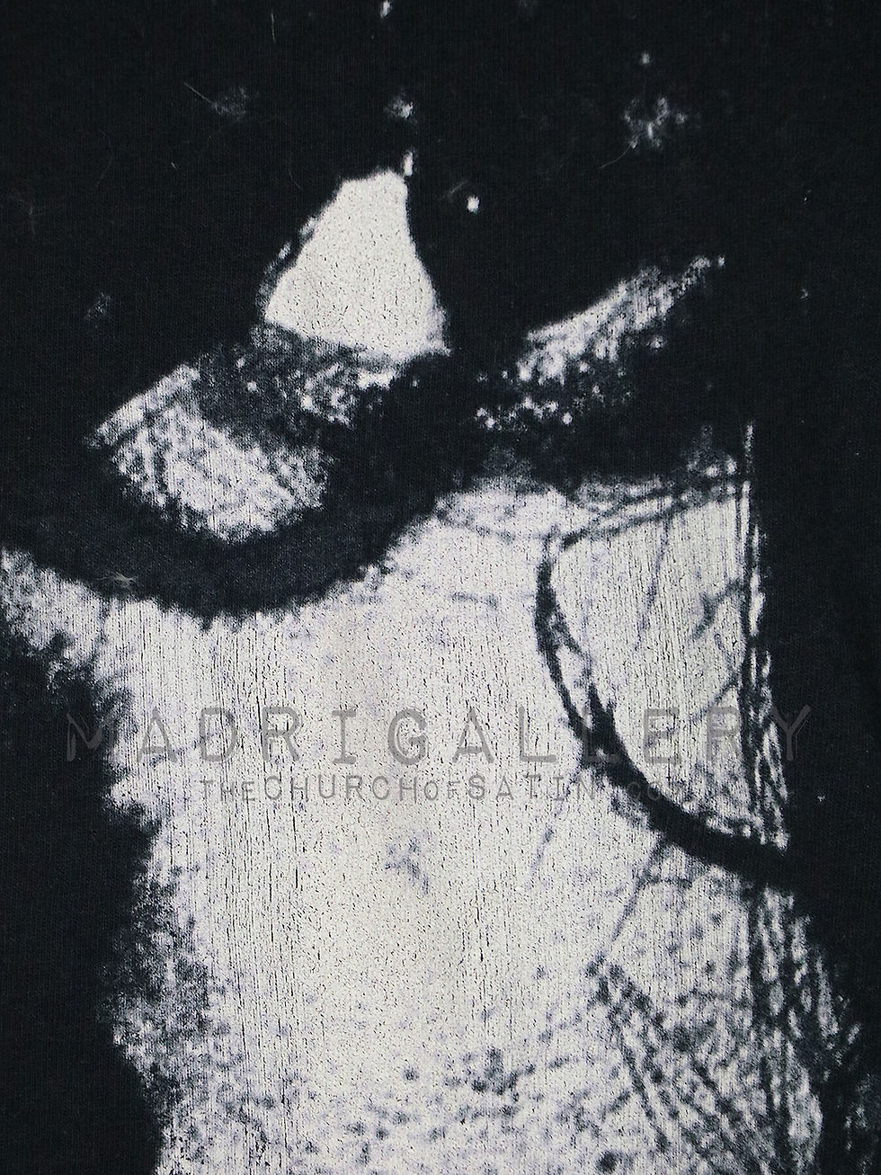 Thumbnail: MY BLOODY VALENTINE shirt (Cocteau Twins Slowdive Jesus Mary Chain Curve Ride)
