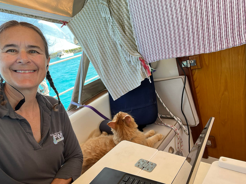 Sondra on a Teams meeting for work or FWEA.