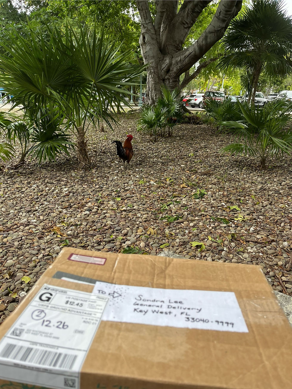 Our very first general delivery package