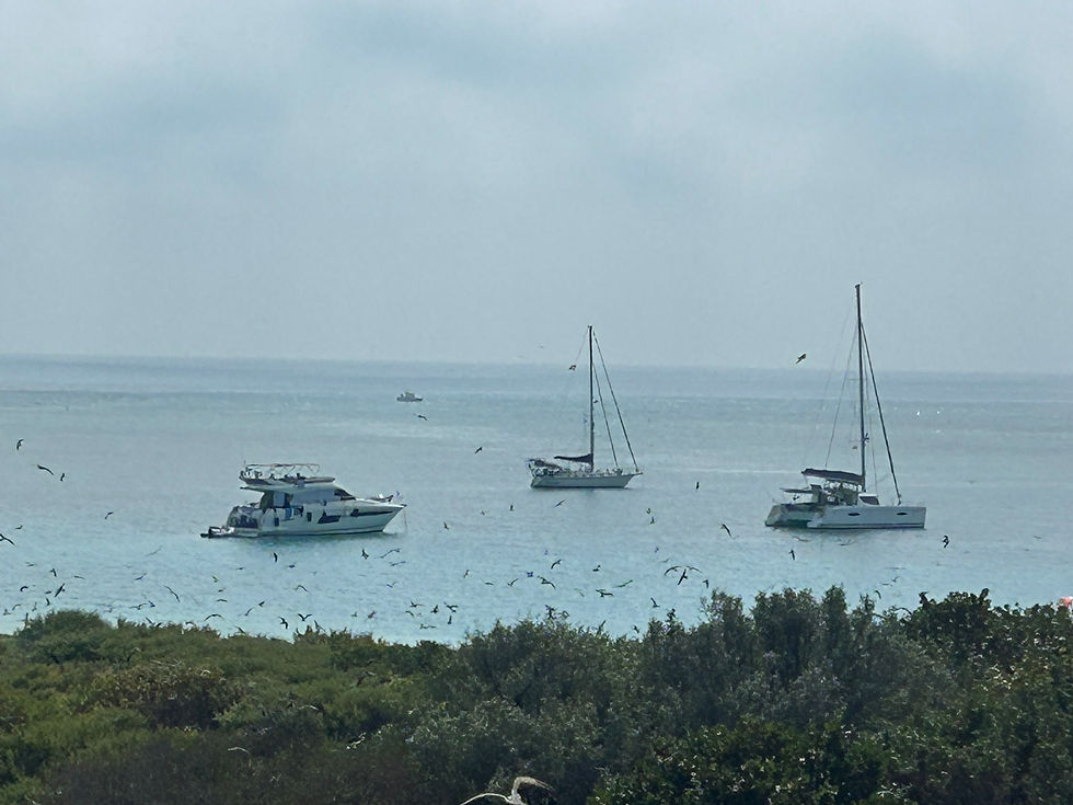 Utopia (middle) anchored in the southeast harbor of Garden Key.