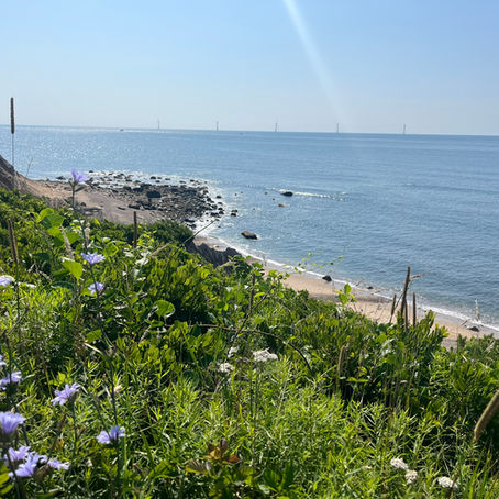 The Little Gem of Block Island, Post 25-30