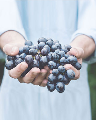 Harvesting