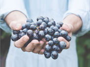 Harvesting
