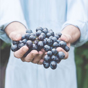 Wine Road: Inside Blanchard Wines