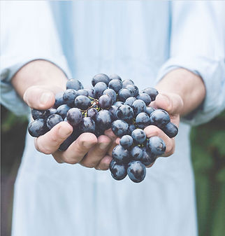 Harvesting