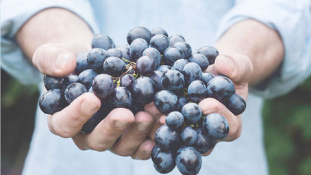 Un vino alavés hace historia con la máxima puntuación en un prestigioso ranking
