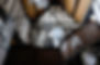 resonante_6437.jpg