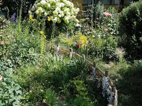 The Perfect Harmonization: The Role of Hardscaping in Creating a Balanced Garden