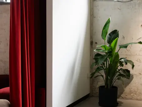 The Timeless Charm of Concrete Furniture in Modern Landscaping