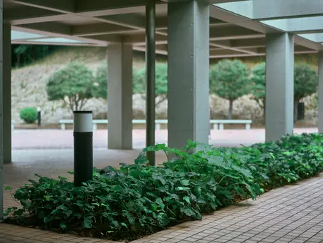 The Versatility of Concrete Plinths in Landscaping