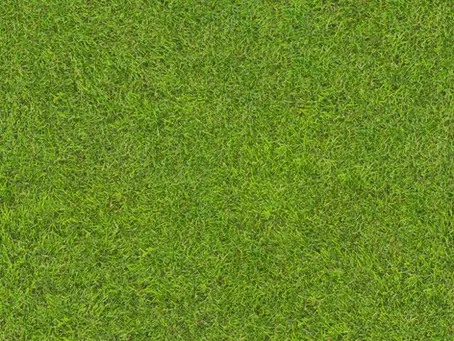 The Advantages of Roll-On Grass for Instant Lush Lawns