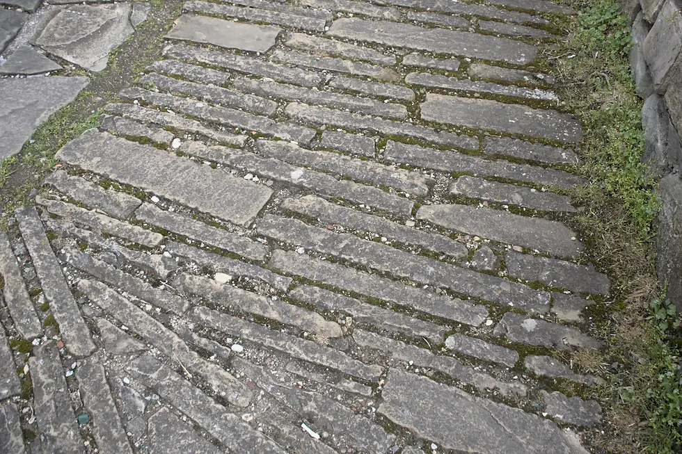 Mastering Your Landscape: Tips for Choosing the Best Materials for Paving