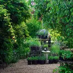 Choosing the Right Plants for Your Garden Design