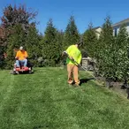 A Step-by-Step Guide to Successful Lawn Renovation