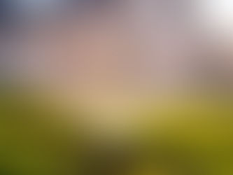 reticulation sprinklers