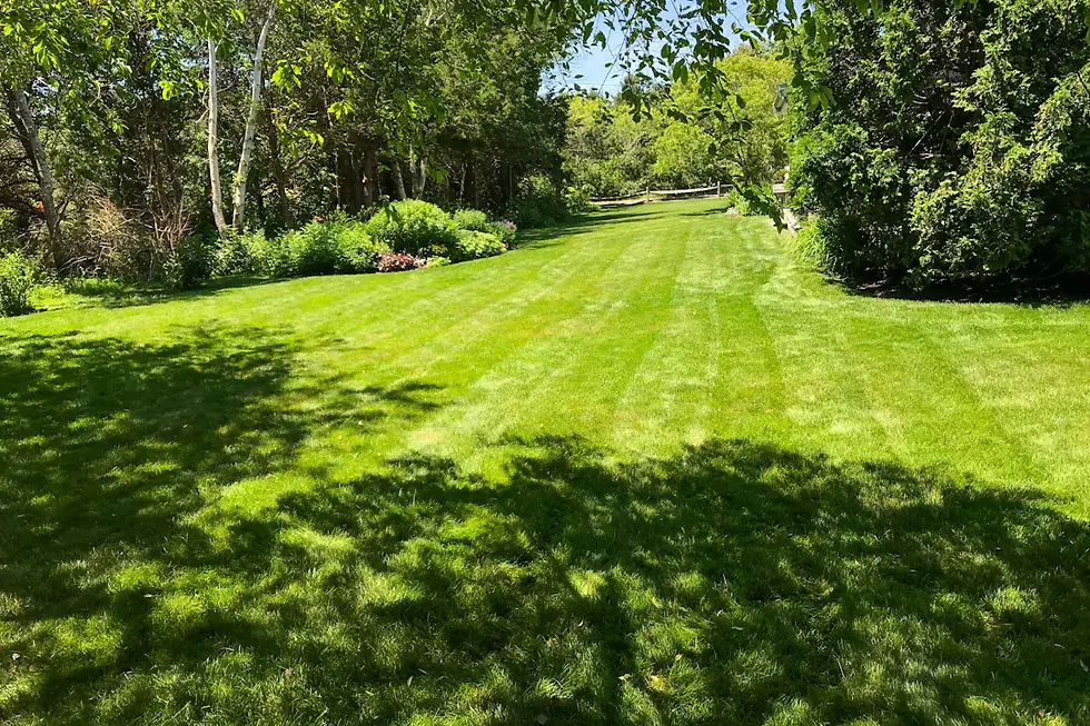 Lawn Renovation: Reviving Tired Grass Areas