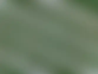 Innovative Landscaping Trends: Mixing Textures with Concrete and Stone