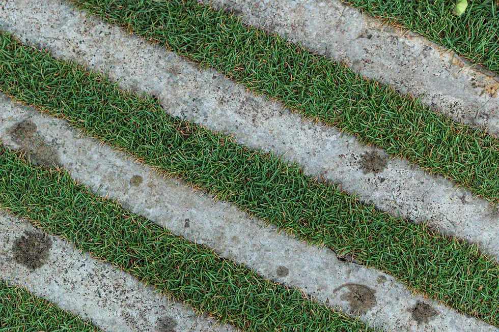 Innovative Landscaping Trends: Mixing Textures with Concrete and Stone