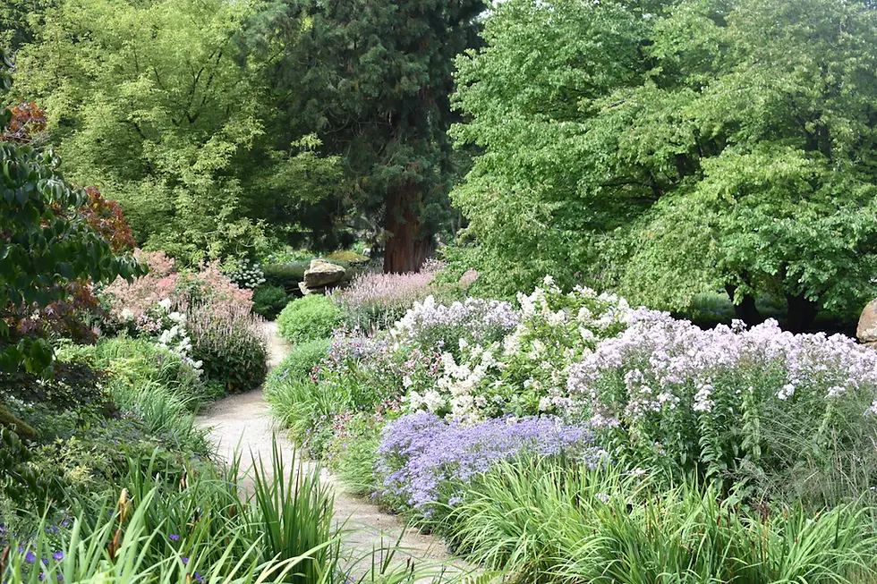 Transform Your Dream Outdoor Space: An Introduction to Garden Design