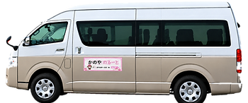 van_no_background.png