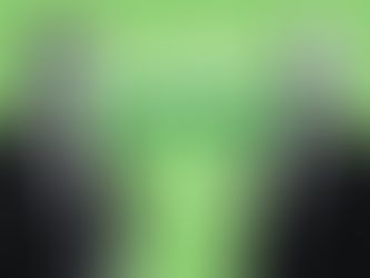 Na závěr roku se pravidla ESG reportingu vyjasnila, říkají odborníci z České spořitelny