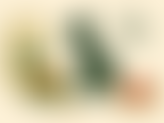 Do misek domácích mazlíčků proniká umělé maso