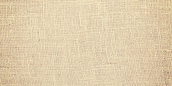 WEB BACKGROUND 1.png