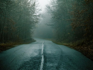 Jak moc se svět ESG otřásl a co říká sonda mezi manažery udržitelnosti