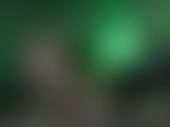 Evropě nechybí inovativní nápady, problém je jejich uvádění v život, říká Monika Ladmanová