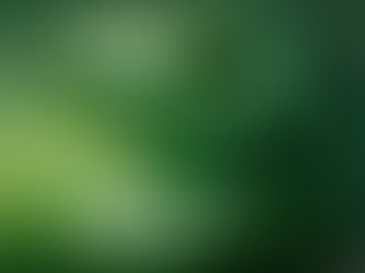 Magazín TOP udržitelný byznys v elektronické podobě zdarma