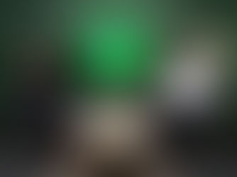 Data z ESG reportů mezi sebou nebudou porovnatelná, říká Adéla Malinová