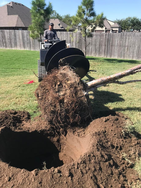 SLK planting trees