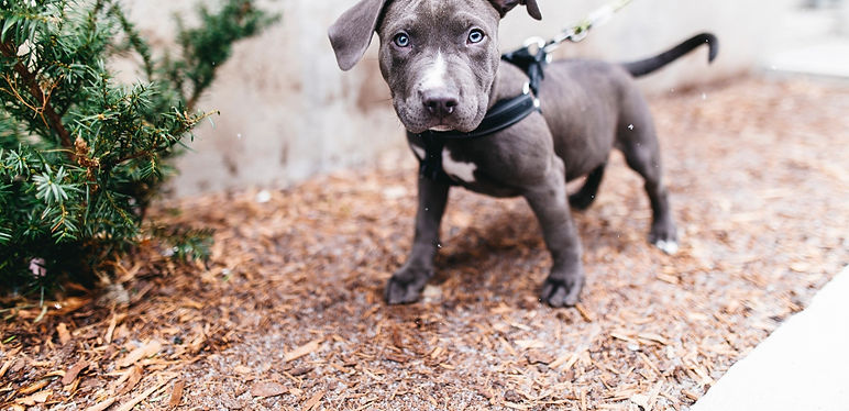 baby-blue-SQR9V2W_edited_edited_edited_e