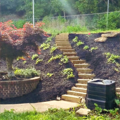 Landscaping | Before and After