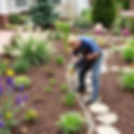 someone landscaping .jpg