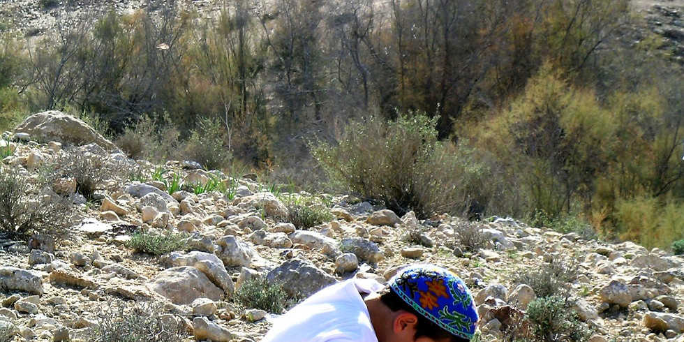 סיור החי מתחת לאבן