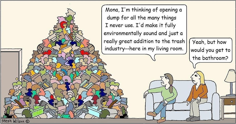 A woman tells her friend about the dump she created in her living room.