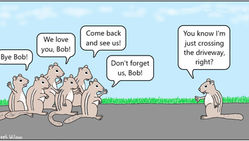 Grandma's Tissue Farewell