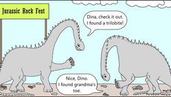 Letting Go Of The Rocks