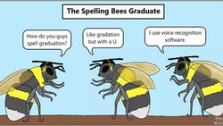 Follow Your Dream While I Agonize Over the NYT Spelling Bee