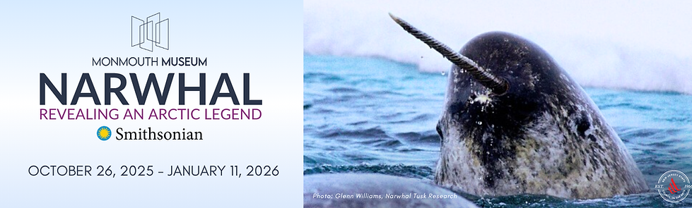 Sliders October 2025 (3).png