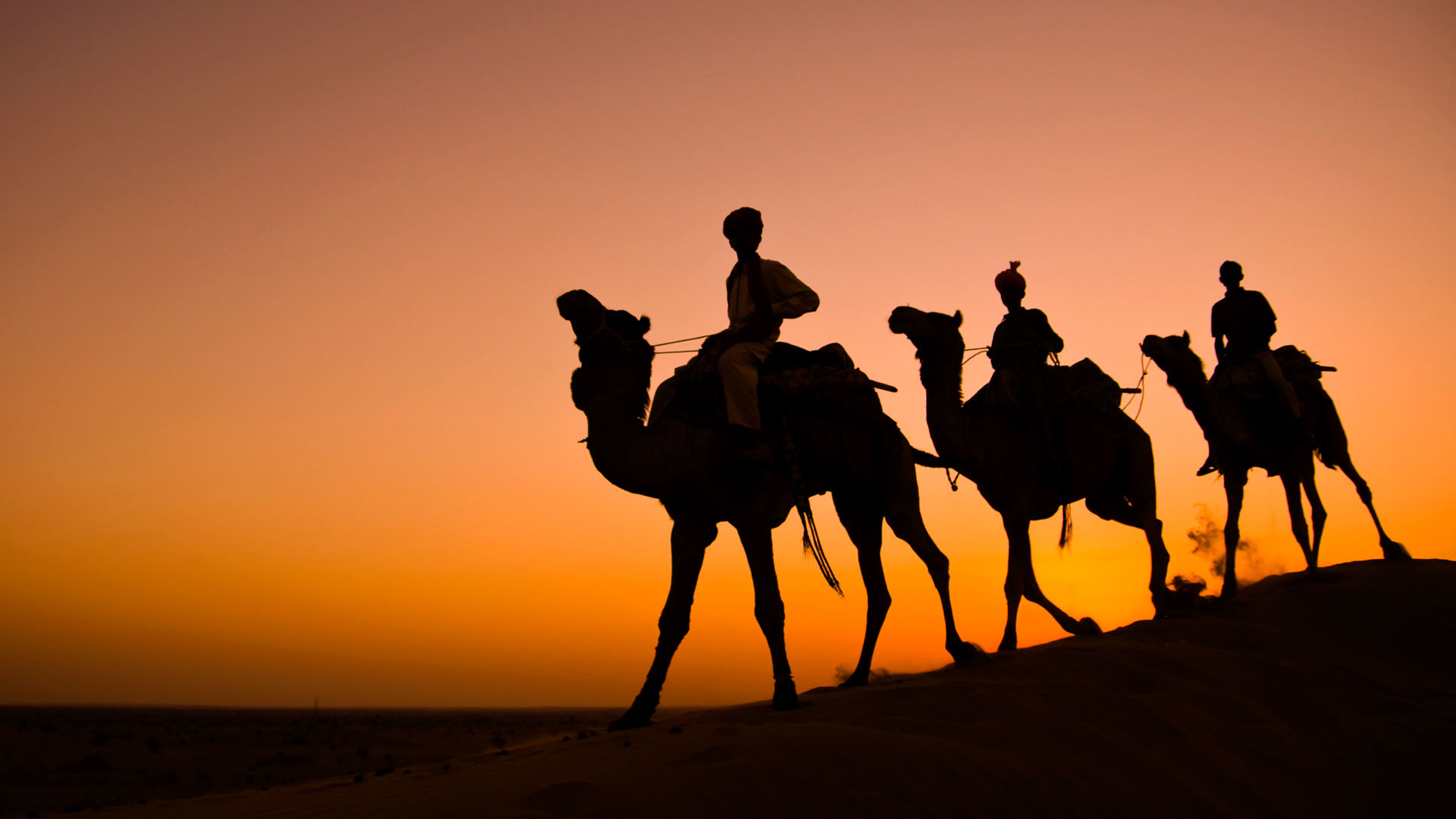 Loyal Rajastan Royal Rajasthan | travelersclub