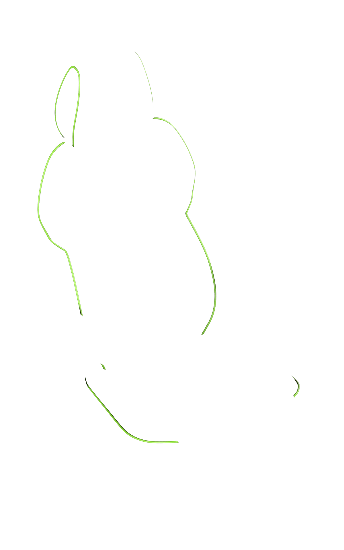 blank-slide.png