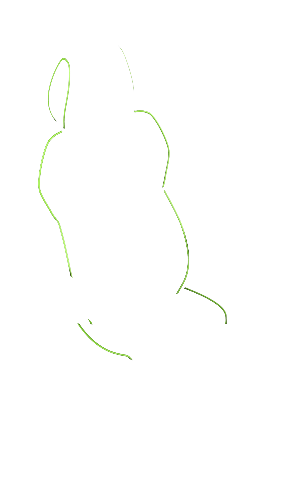 blank-slide.png