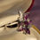 Thumbnail: 925 Sterling Silver Gemstone Ring