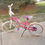 Thumbnail: 20" Supercycle Dreamweaver Bike