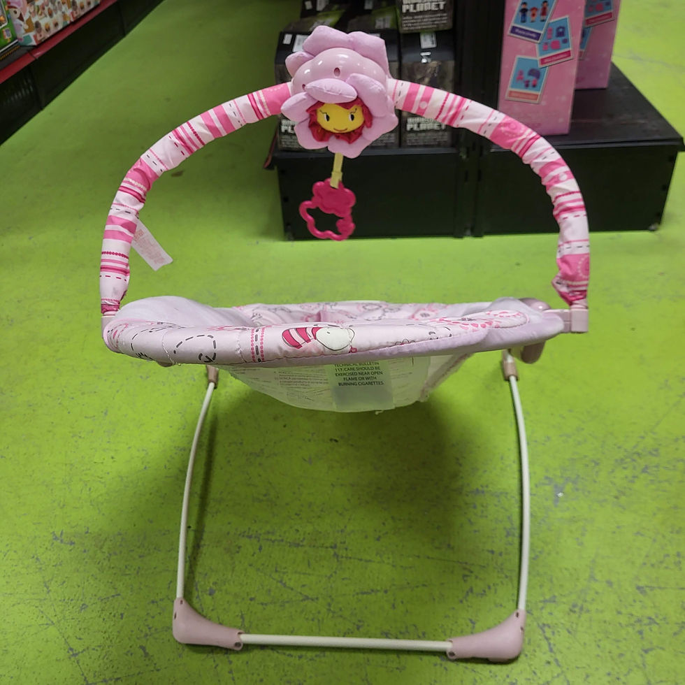 Thumbnail: Bright Starts Baby Bouncer