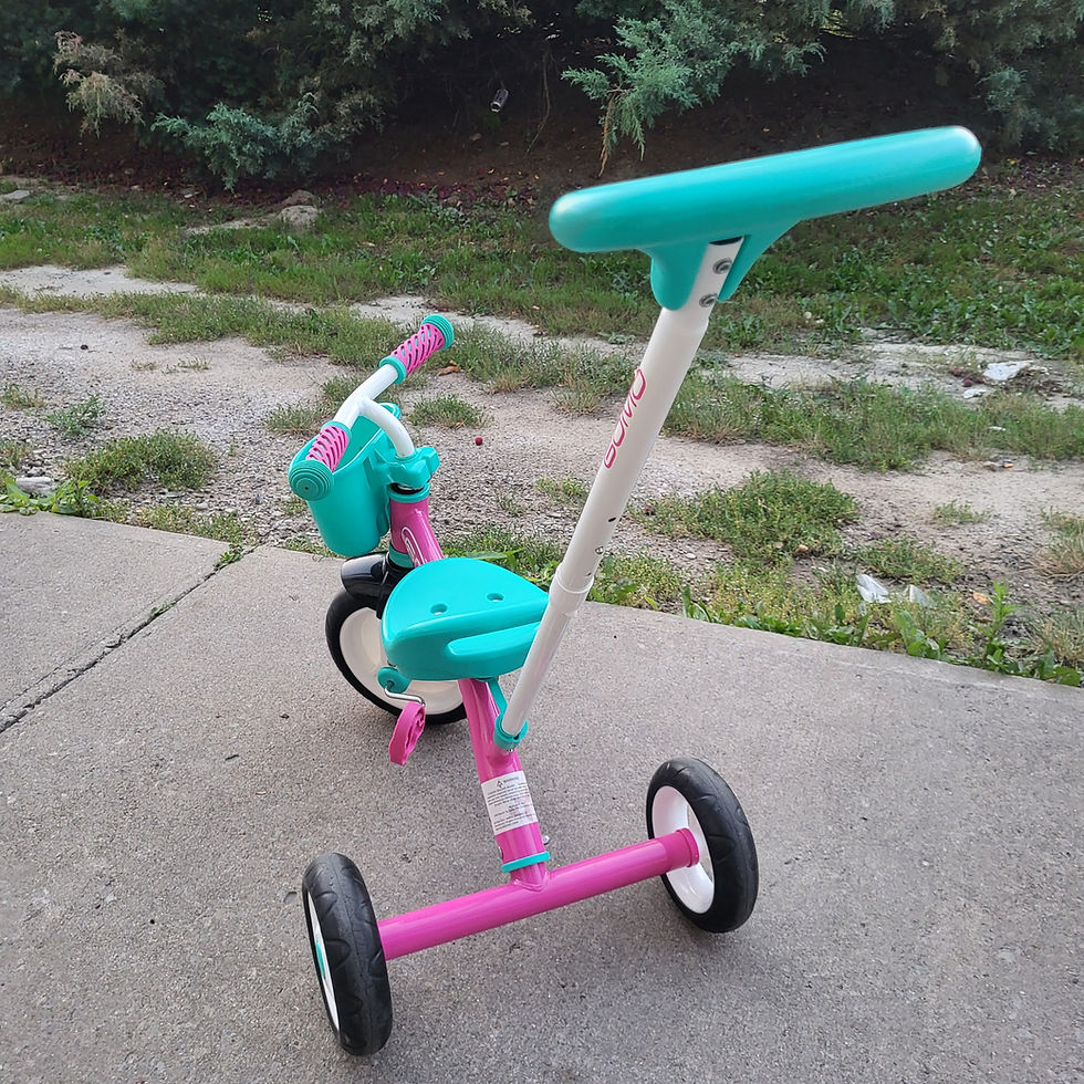 Thumbnail: GOMO Tricycle