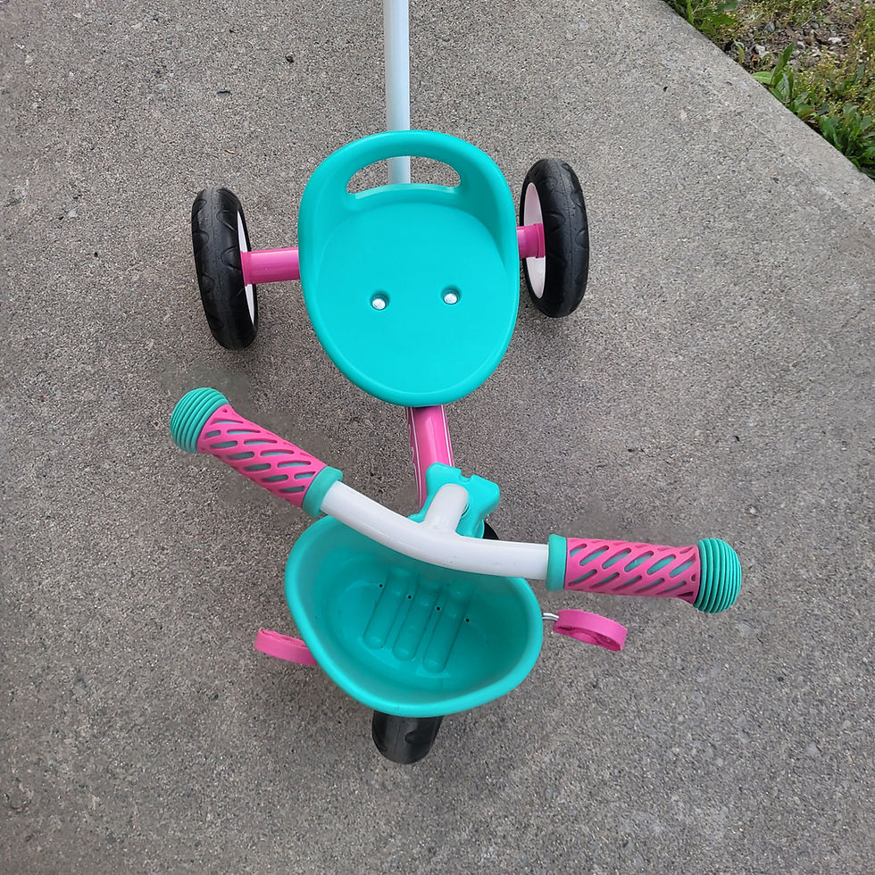 Thumbnail: GOMO Tricycle
