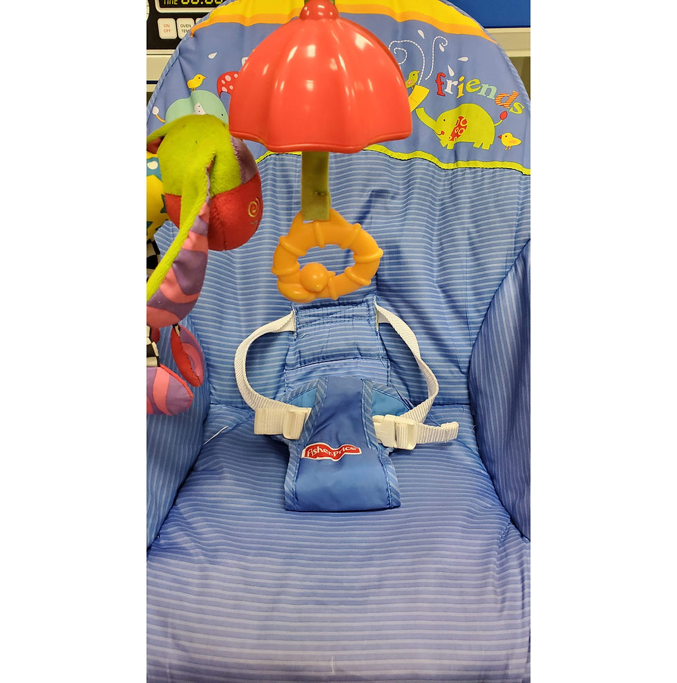 Thumbnail: Fisher-Price Deluxe Infant-to-Toddler Rocker Bouncer